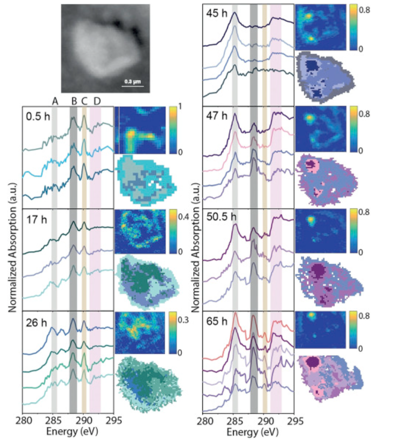 Observing How Fischer-Tropsch Synthesis Catalysts Work at the Nanoscale via Operando STXM.
