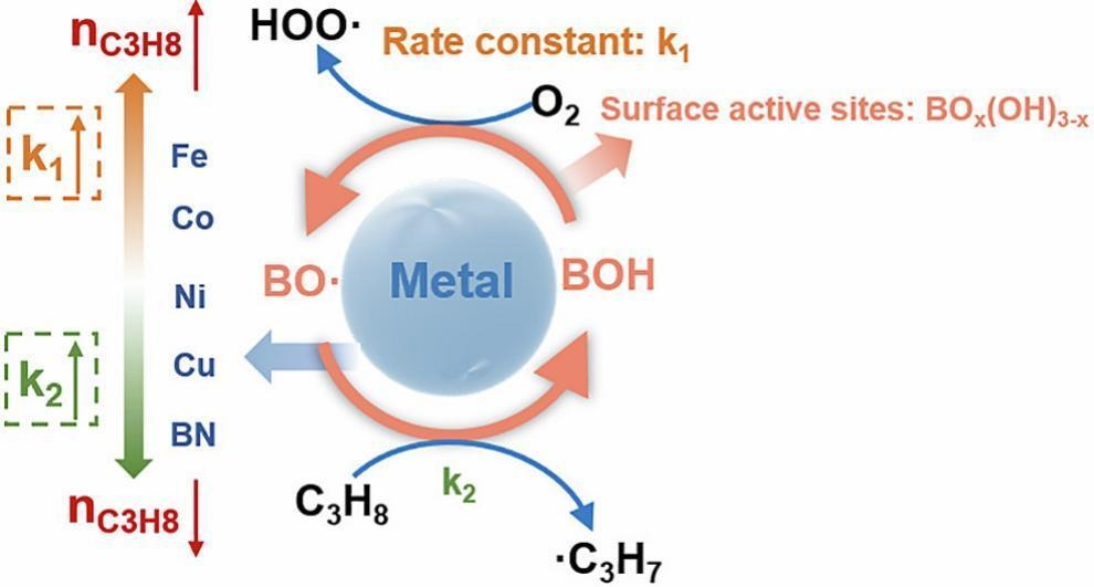 Modulating kinetic regimes in oxidative dehydrogenation of propane via subsurface metal-mediated dynamic BO-H bond dissociation and regeneration